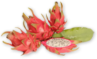 Dragon fruit - pūķa auglis